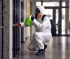 Best Black Mold Removal  in Clara City, MN